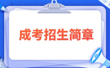 2024年江苏电子信息职业学院成考招生简章